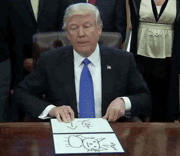 $特斯拉 (TSLA.US)$ 有沒有人有這樣的感覺，你想開空，但又突然擔心特朗普又來搞事情了？😂😅