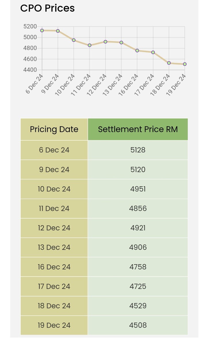 $JPG (5323.MY)$ 棕油价格一直在下跌📉