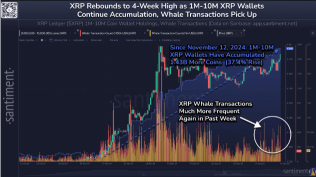 隨着鯨魚繼續 「大量積累」，XRP飆升12％