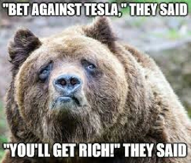 Hands down the meme of the week! $Tesla (TSLA.US)$