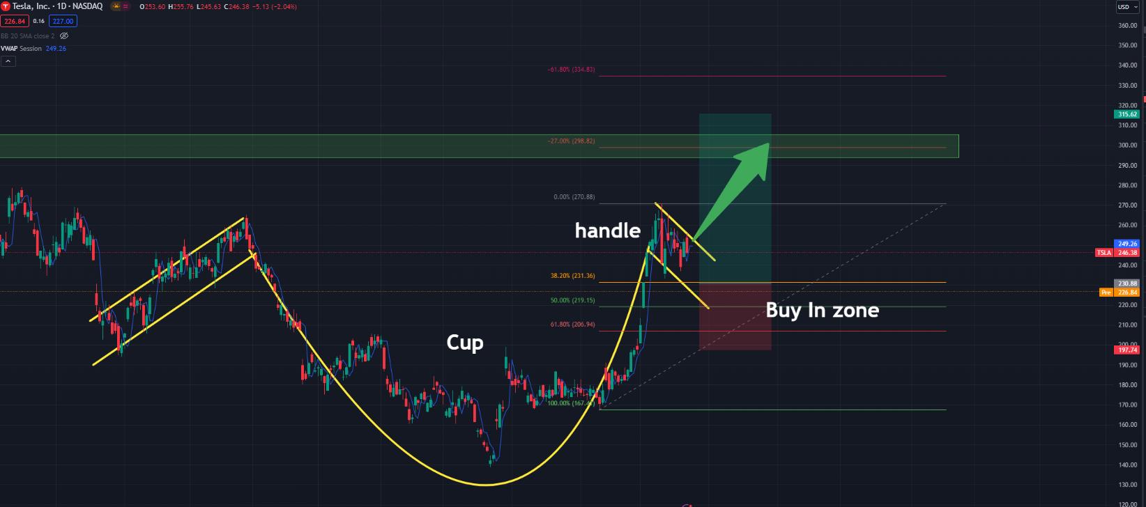 Tesla Technical Strategies