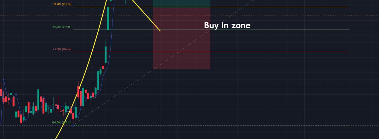 Tesla Technical Strategies