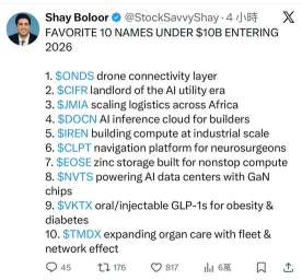 ❤️ Top 10 Stocks (<$10B Market Cap) Favored by Shay Boloor