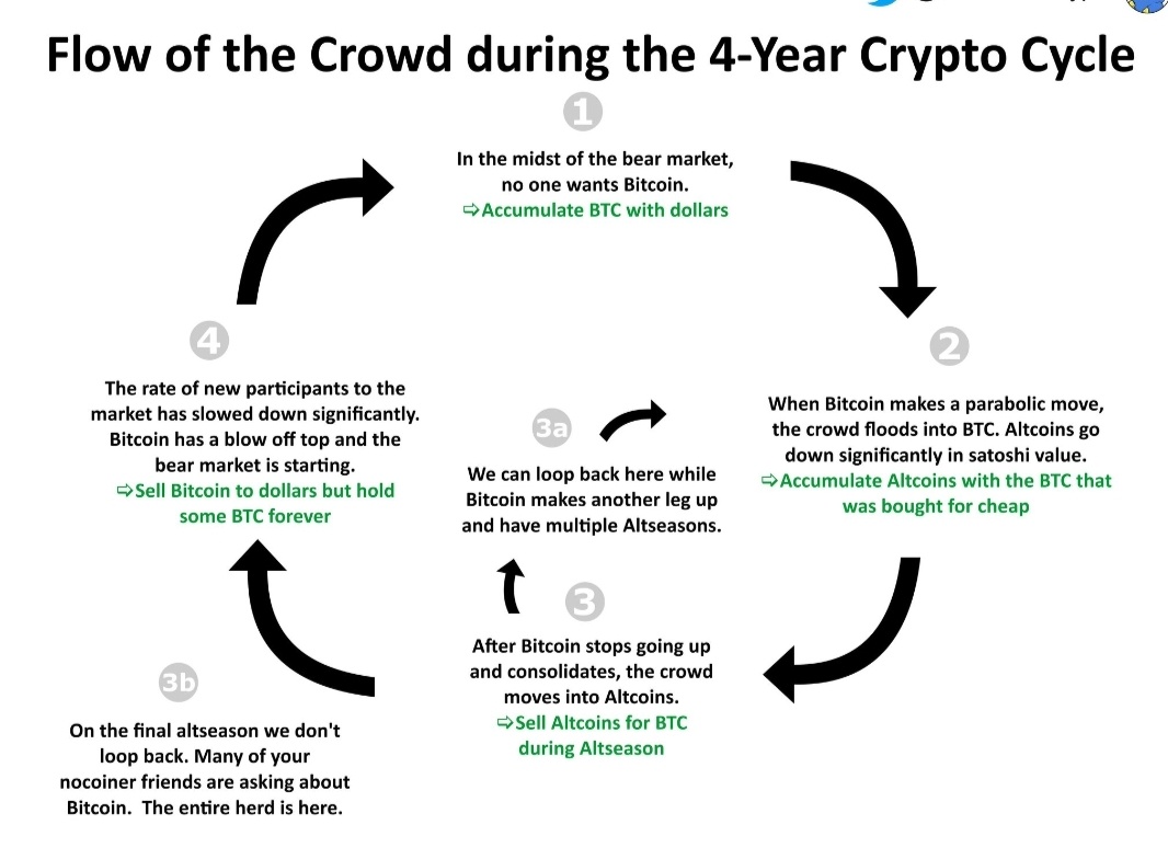 $Cardano (ADA.CC)$ cycle phase