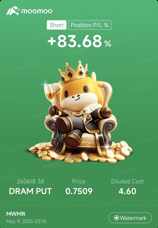 DRAM ETF卖出看跌期权 30P 38P