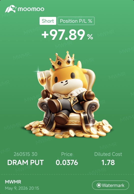 DRAM ETF卖出看跌期权 30P 38P