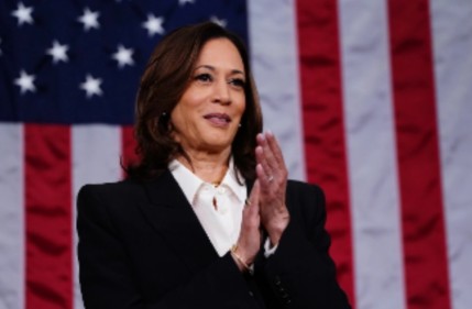 What's the Best "Magnificent Seven" Stock to Buy If Kamala Harris Wins in November?