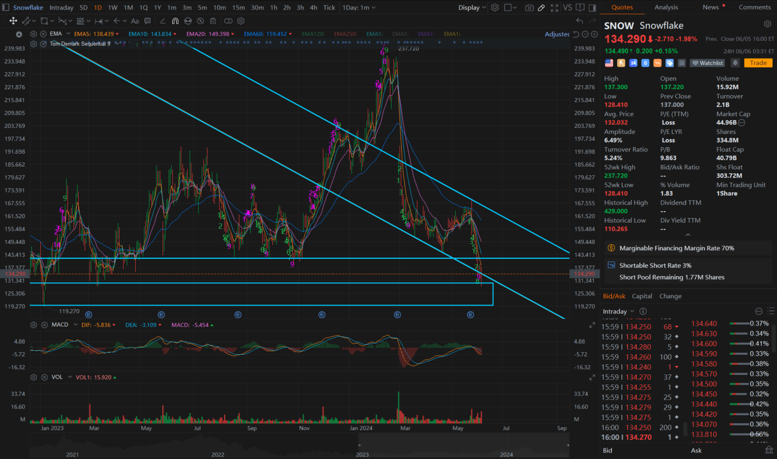 Snowflake at a Critical Support Level: Will It Plummet or Rebound?