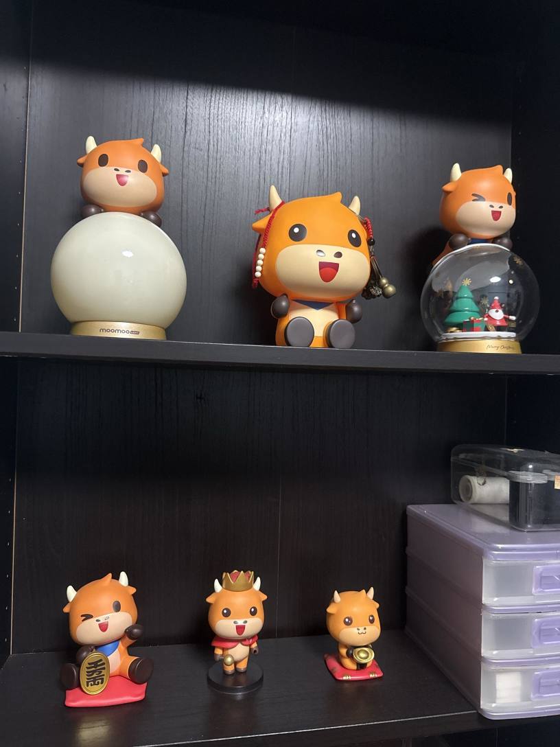 让我爱上Moomoo的那些收藏品