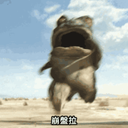留意市场波动的原因