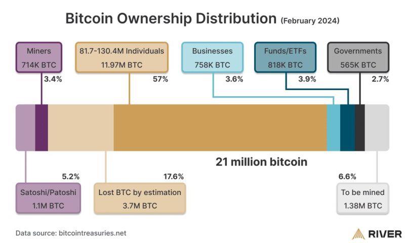 Bitcoin Wwnership Distribution