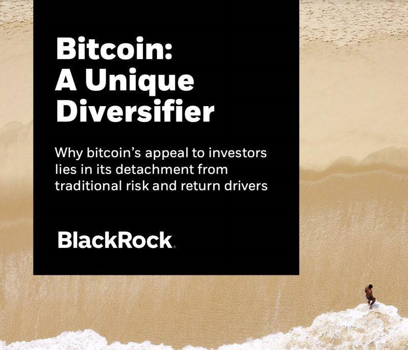 BlackRock : Bitcoin -> A Unique Diversifier