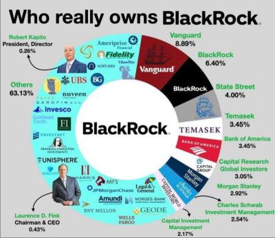 ブラックロックは誰が所有していますか？