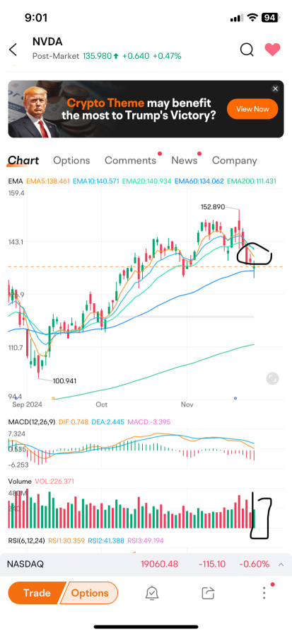 Post market volume come . Elon musk quote “ 20 shares of Nvdia could make u millionaire “