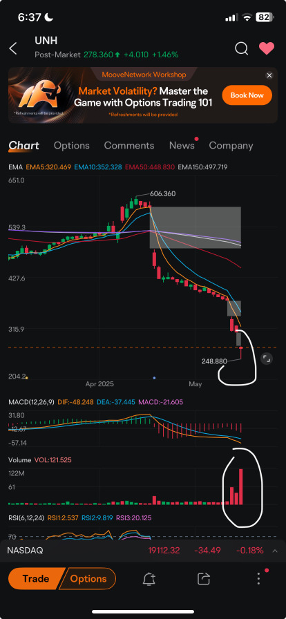 rebound in 24 hours market