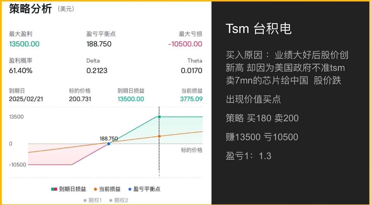 如何使用期权 增加收益 TSM