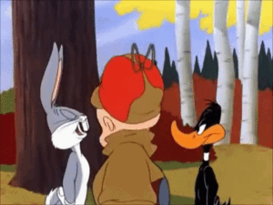 Duck 🦆 还是 Rebbit 🐰？多元化思维至关重要！