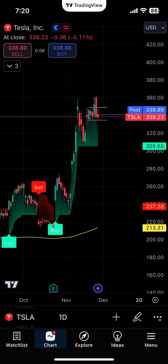 Tsla profits