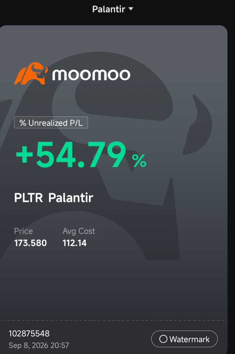 $undefined (PLTR.US)$