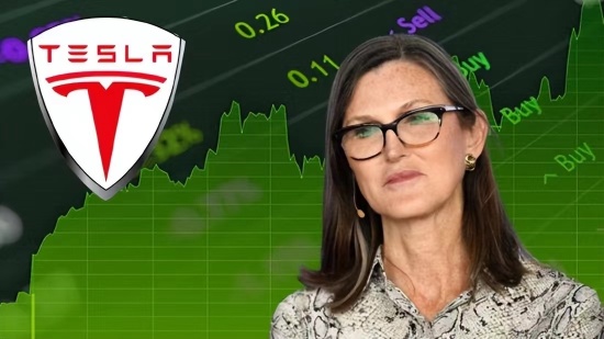 Tesla has fallen nearly 31% this year, while Cathie Wood is continuing to buy !?