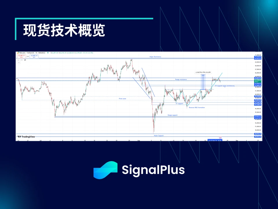 2024年8月19日から26日のBTCのボラティリティについて