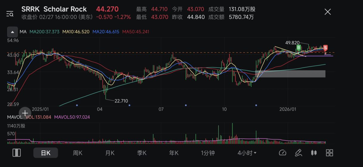本周结算交易汇总（23/02-27/02 2026）