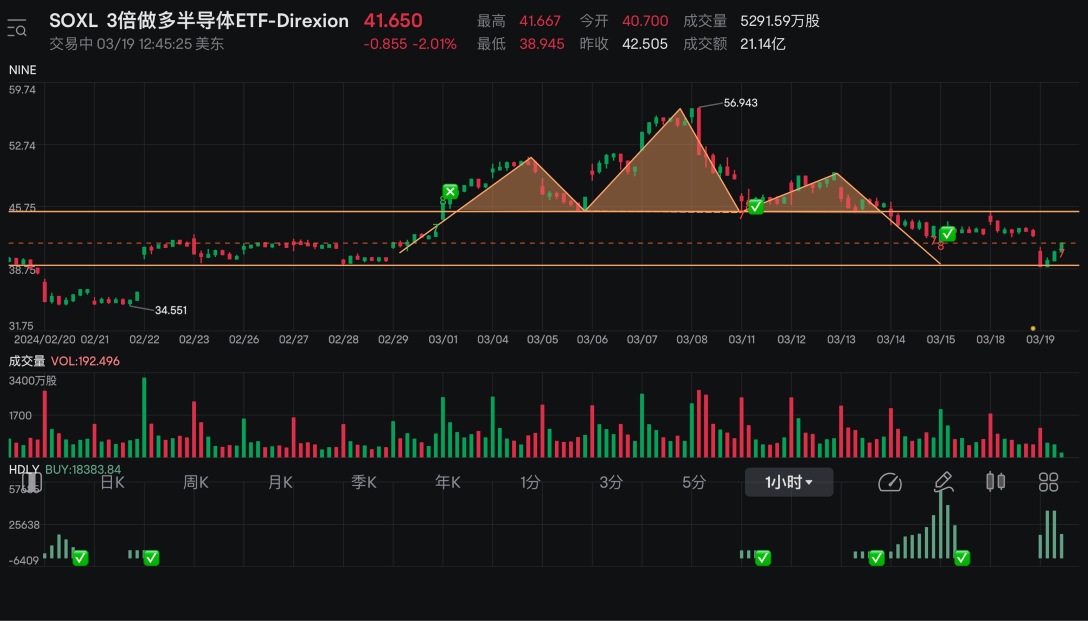 $45 buy put profit settled