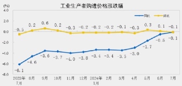 中国生产者物价指数明细：