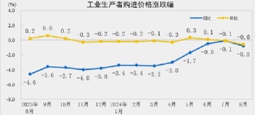 CHINA PPI BREAKDOWN: