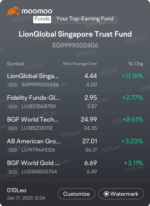 2025 Fund Investment