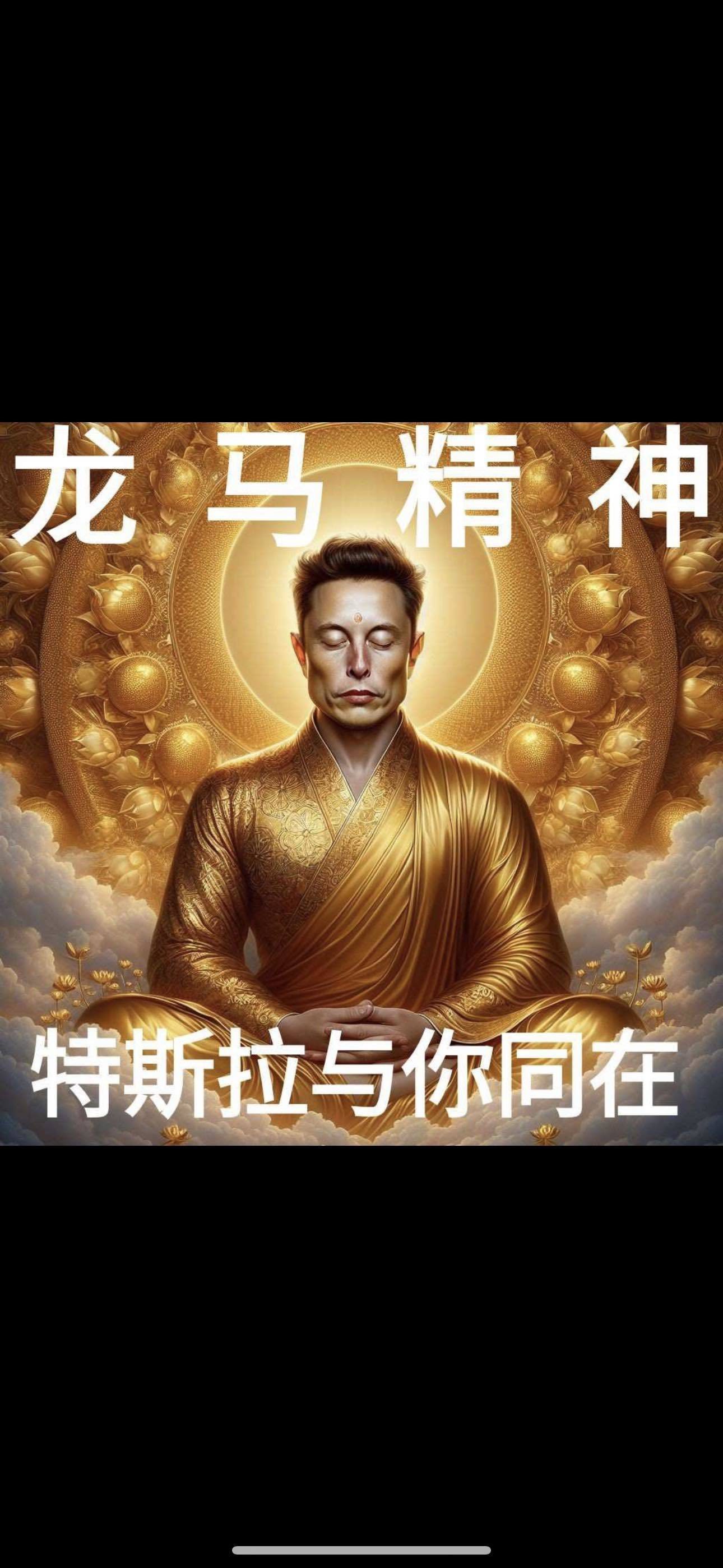 $特斯拉 (TSLA.US)$ 只要和馬斯克一樣的精神 all in 就對了 [色]目前看漲400 的路上 來了 [勝利][勝利][勝利]