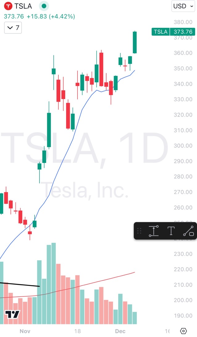 $Tsla - LT/旗を破る