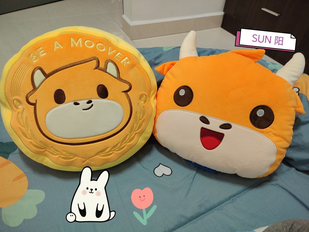 已收集两套战利品