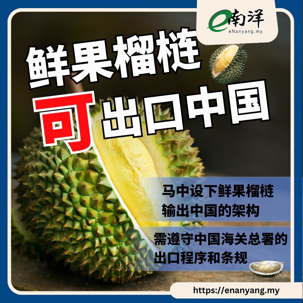 Anwar Li Qiang witnessed the 14th Memorandum of Understanding, fresh Malaysian fruit, durian is expected to be exported to China