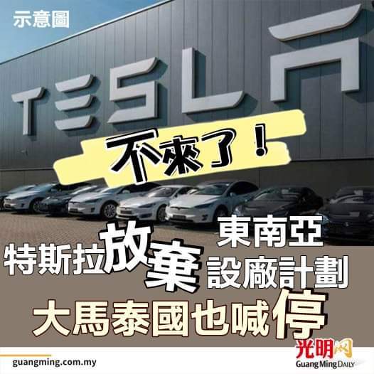 $テスラ (TSLA.US)$