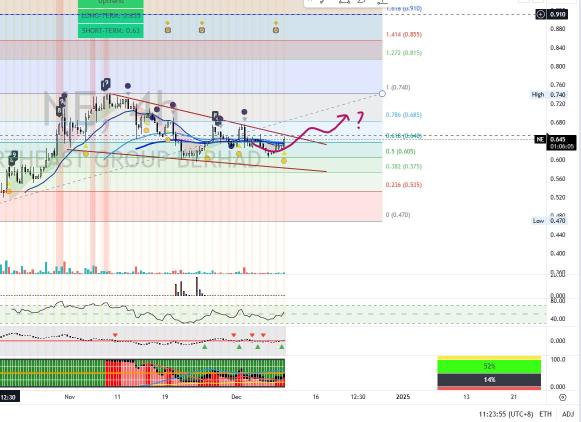 NE: Nice Rebound, But Can it Go Further?  