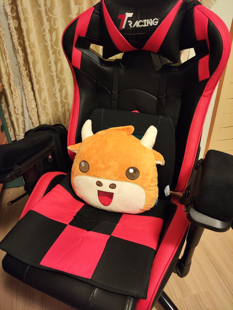 Cute plushie! Nice backrest