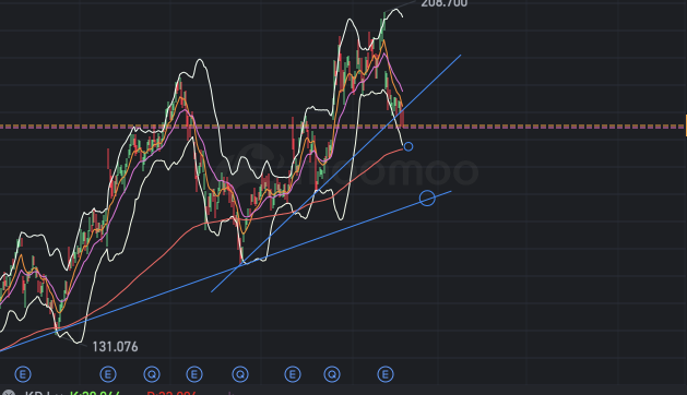 Buy range to watch: $166 (EMA200) - $176 (Rising Trendline)