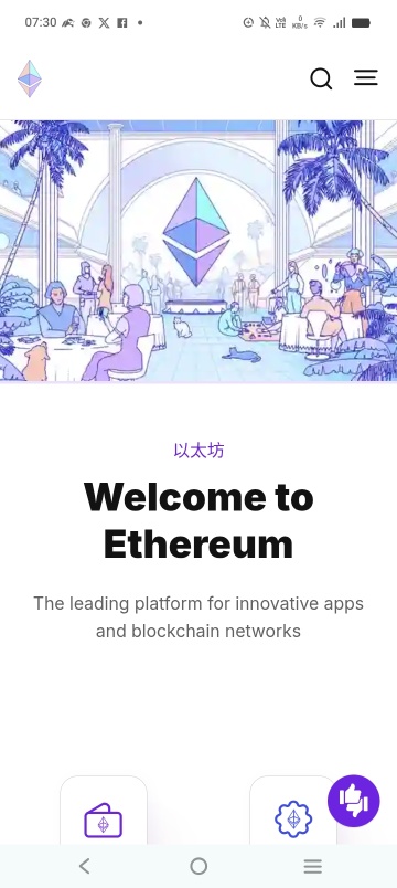 如果再有一個以太坊……一切肯定都會變得清晰，沒有什麼能夠隱藏……這是粉絲們多年不懈努力的結果。什麼是確定的