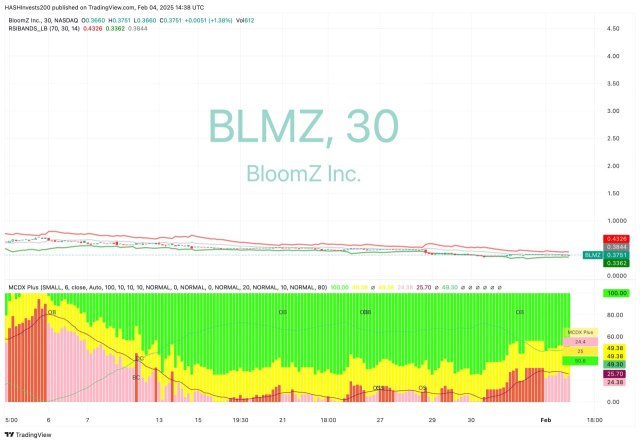 BloomZ公司（BLMZ）股票图表的技术面分析