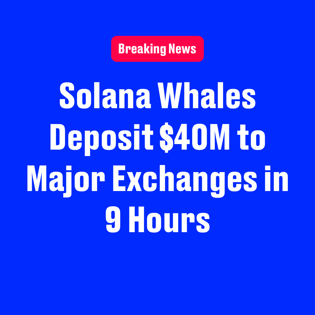 ソラナの大型保有者（通称「クジラ」）が9時間で主要取引所に4000万ドルを預け入れ - moomooコミュニティ