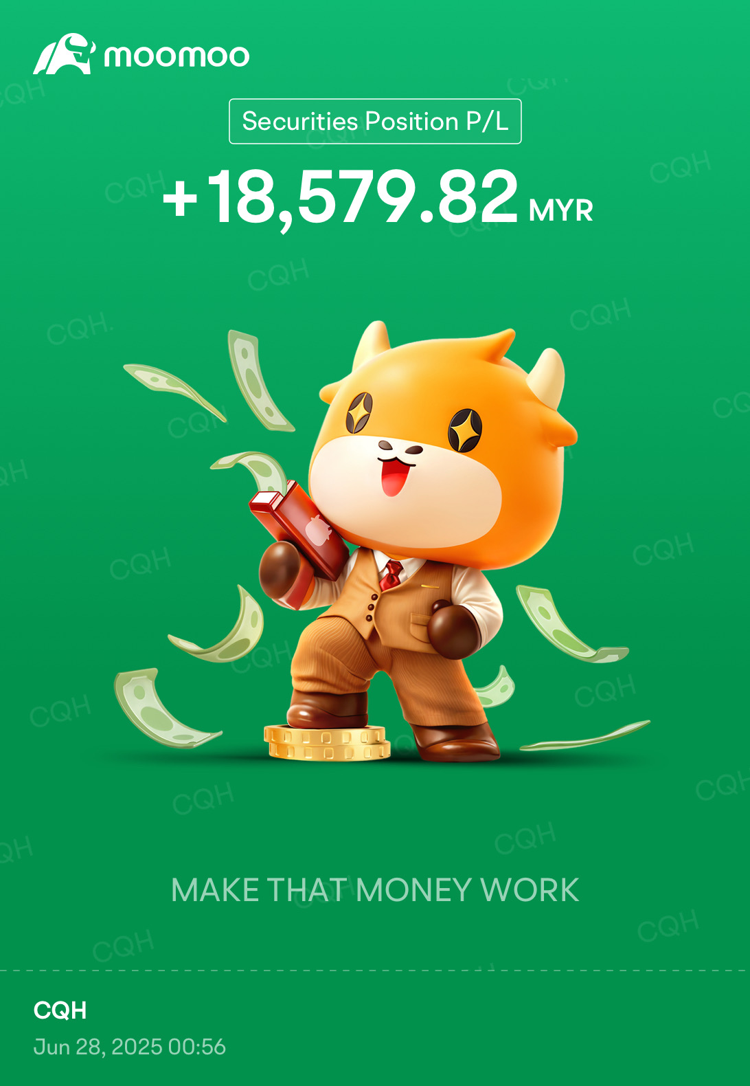 公開我的投資組合