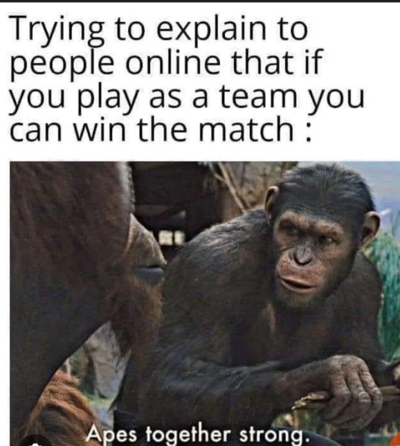 猴子团结就是力量