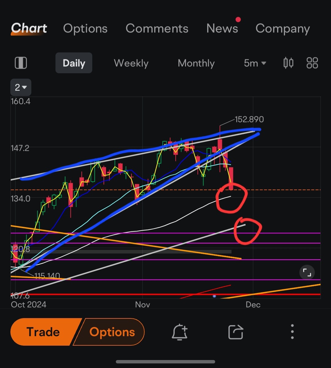 $英伟达 (NVDA.US)$ 上个星期，我因第一篇帖子而受到了批评，警告盲目乐观的投资者增长率正在下降（实际上这就是主要观点）。因此那条蓝色曲线暗示着期待突破那个下降的增长率。但遗憾的是这并未发生，指引上限实际上是未如预期的。  从现在开始，可能会有一些回调，重新测试支撑位之前，我会首先关注50日移动平均线（134）...