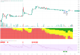 『 独家 』深入分析 Sern Kou Resources（7180）FY2024 第四季度业绩表现