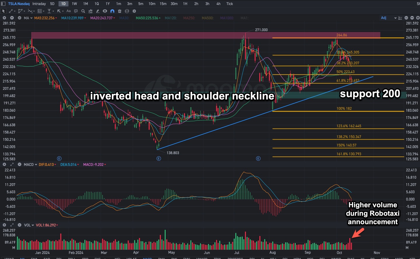 Tesla Key Levels After the Robotaxi Sell-Off