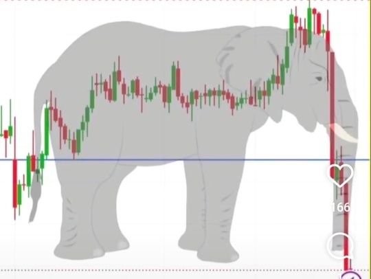 elephant trunk drop pattern