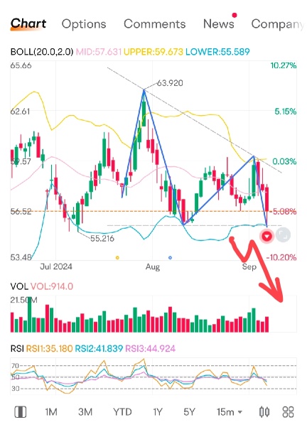 CVS圖表中出現看淡延續三角形