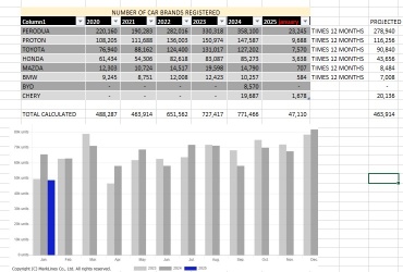 Car sales 2025