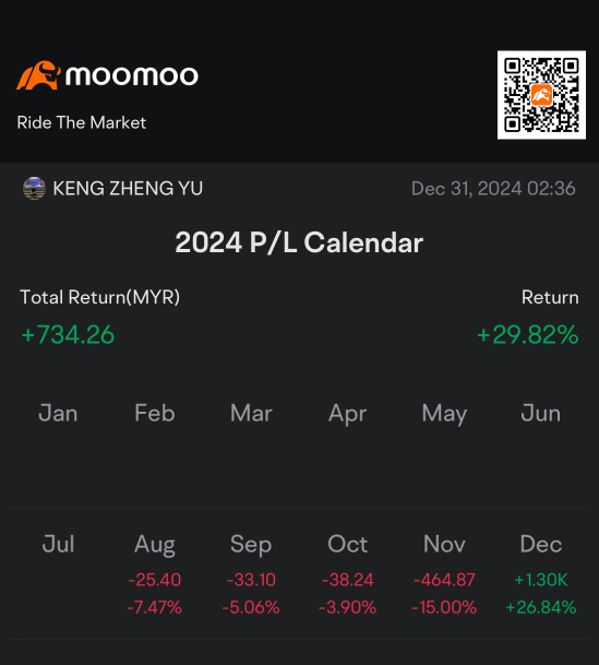 My P&L before the year end. Summary of my 2024 investing journey. 🤩💭